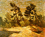 Tom Thomson Gallery Images